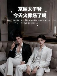 京圈太子爷,今天火葬场了吗