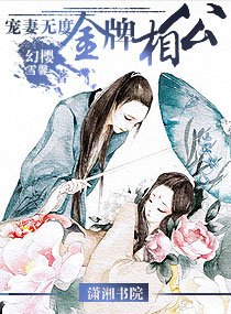 寵妻無度——金牌相公